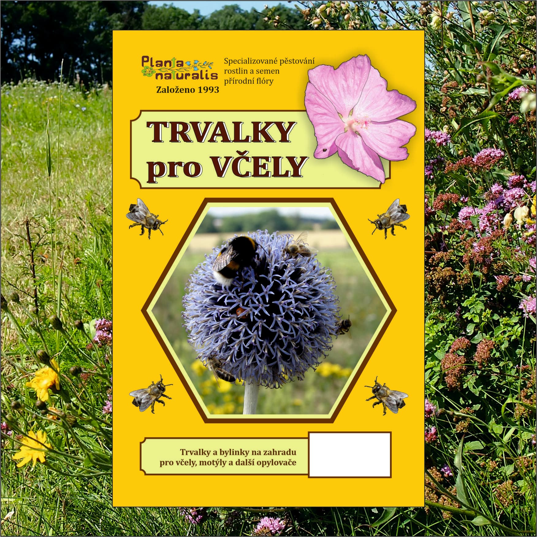 Trvalky pro včely